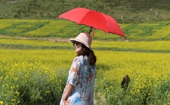 97人伦色伦成人免费视频